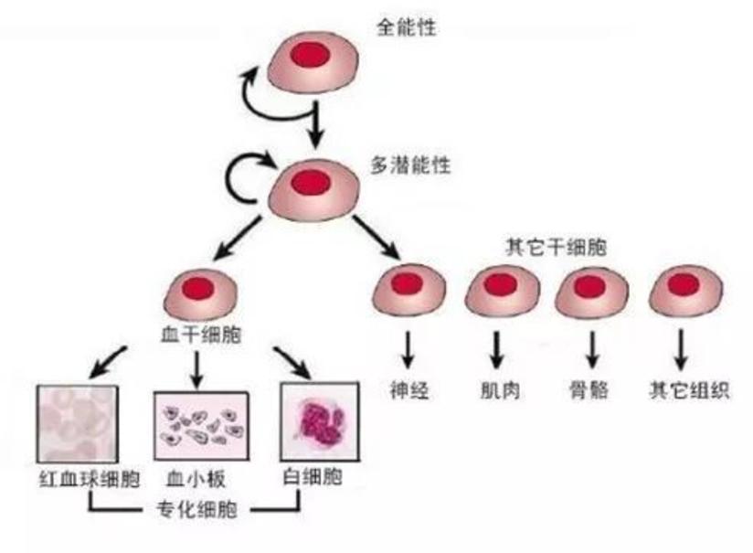 ptsdのdsmivtr基準