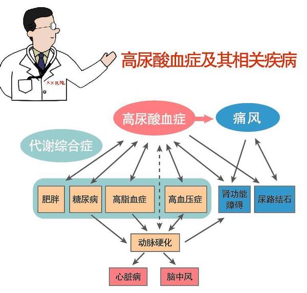 高尿酸血症有什么危害