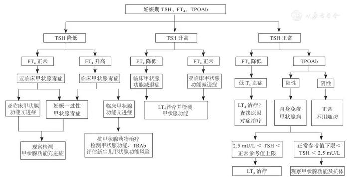 左甲状腺LT4（左甲状腺素钠片用法用量） 左甲状腺LT4（左甲状腺素钠片用法用量）「左甲状腺素钠片剂量一般多大」 行业资讯