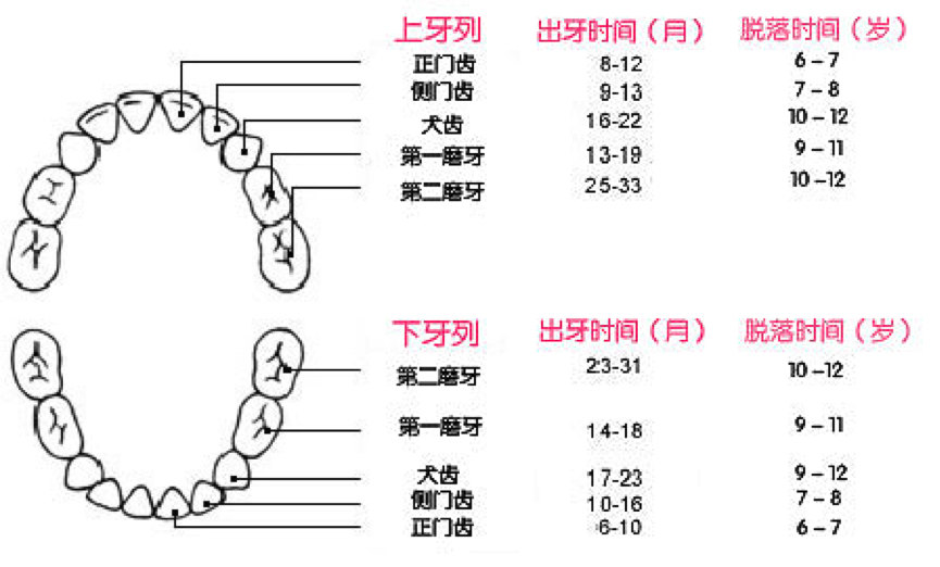 家长如何应对孩子换牙1