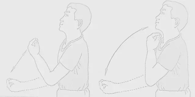 (屈肘关节同时完成腕关节的屈伸;伸直肘关节时实现腕关节的伸展)前臂