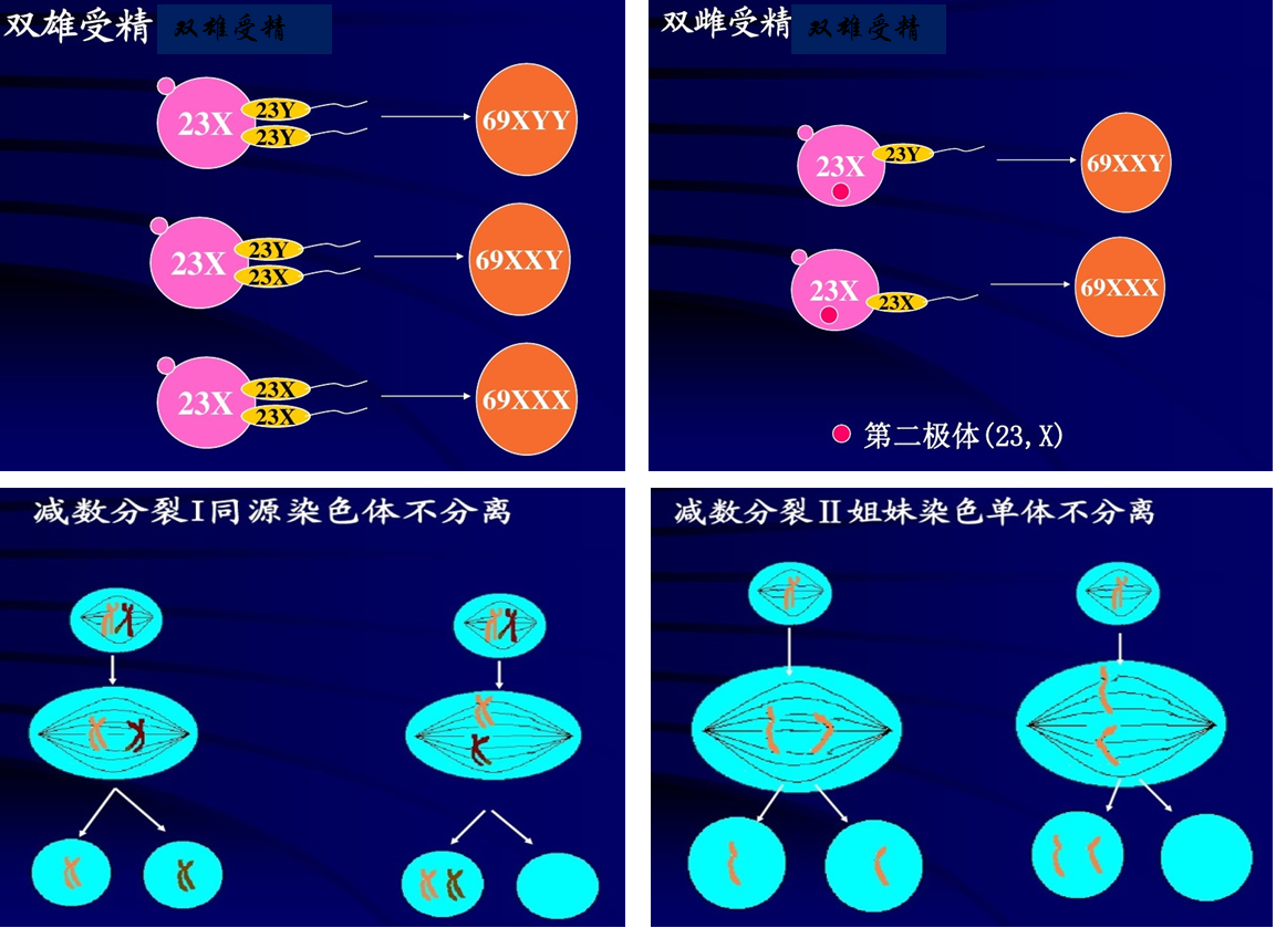 治疗失败后的胚胎染色体结果答疑三倍体