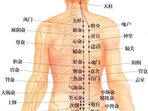 肩颈痛的病因有哪些为何女性多发