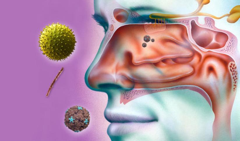 鼻子外面红红的一按就疼 是啥情况 健康号 微医