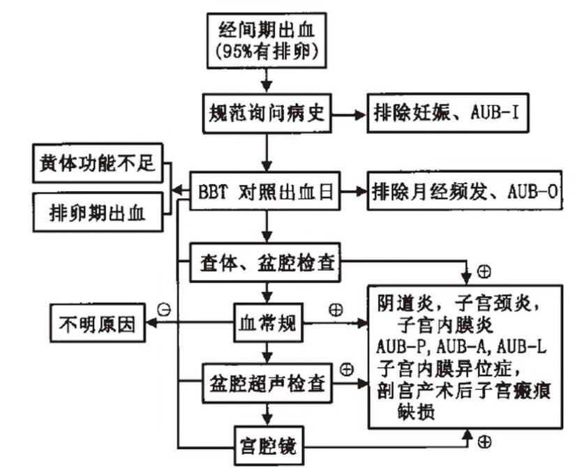 异常子宫出血治疗指南 健康号 微医