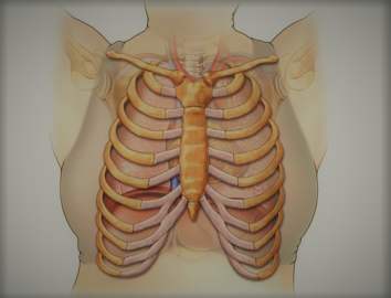 传统中医认为肋软骨炎其实是一种胸肋骨痹病症,内因是表里不和,阴阳