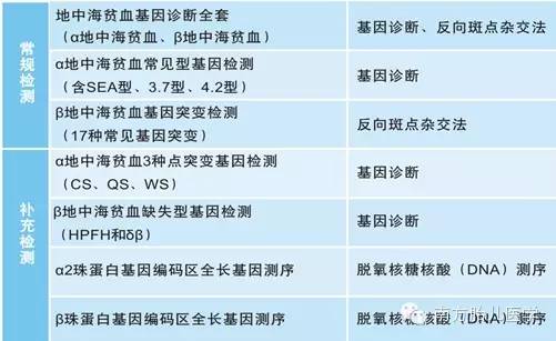 地贫系列讲座之(二)地中海贫血的遗传规律