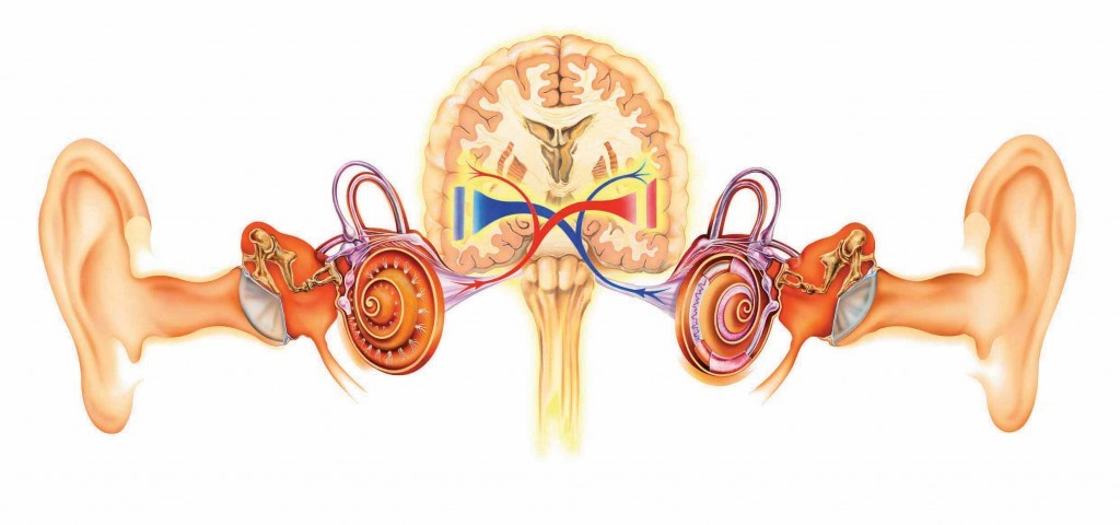 多见于氨基糖甙类抗生素,如庆大霉素,卡那霉素,多黏菌素,双氢链霉素