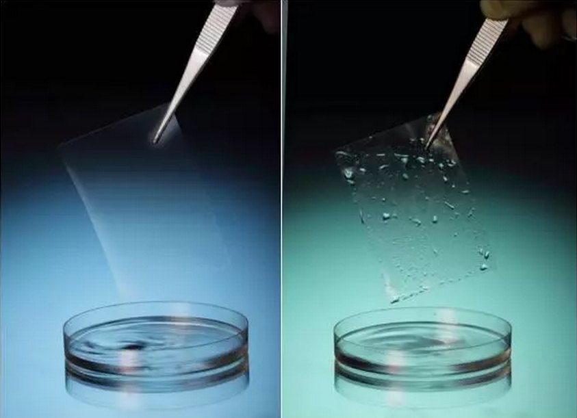 再生医学丝素蛋白再生产品人工皮肤促进伤口愈合