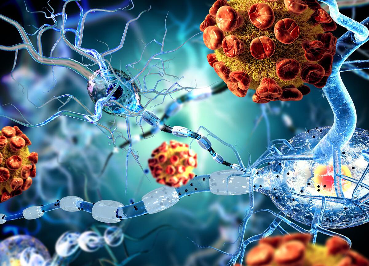 Can Res | 抗癌治疗诱导癌细胞坏死的分子，揭示增强免疫治疗效果 - 知乎