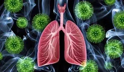 科普飘柳絮的季节这几种表现说明您可能患上急性支气管炎