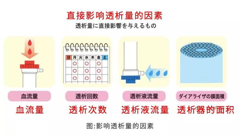 日本透析 透析量的增加因素之一 血流量 健康号 微医