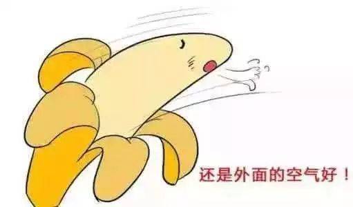 復旦大學附屬華山醫院醫院號販子掛號，隨診顧問幫您解憂的簡單介紹