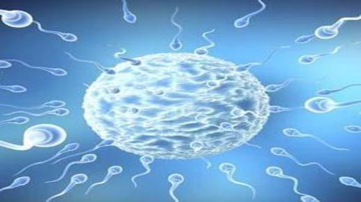 精子到底能"跑"多快