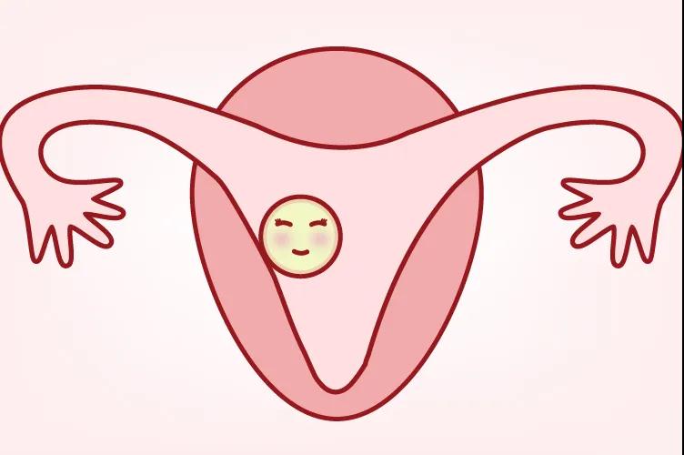 常常合并先天性无阴道,但多数人卵巢发育是正常的,先天性无子宫是没有