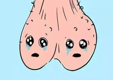 有些男性会因睾丸比一般人小而忧心肿肿,担心自己性功能不足.