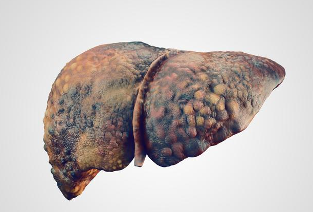 长期熬夜的人如果3个测试能顺利通过恭喜你肝脏还算健康