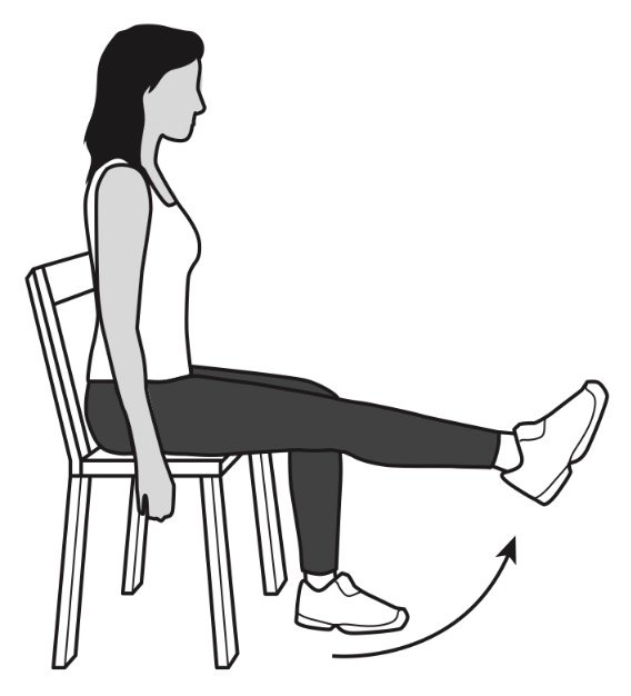 膝关节屈曲动作示意图图片