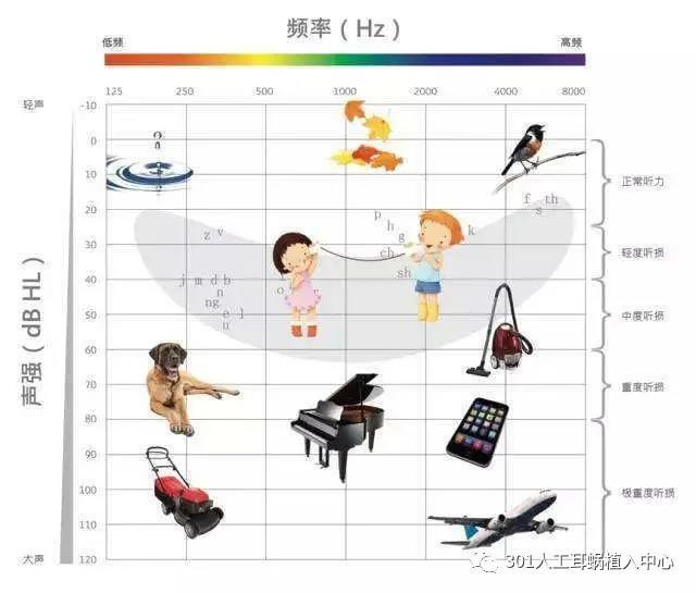 以及其他原因引起的假阳性,新生儿均有可能无法通过听力筛查