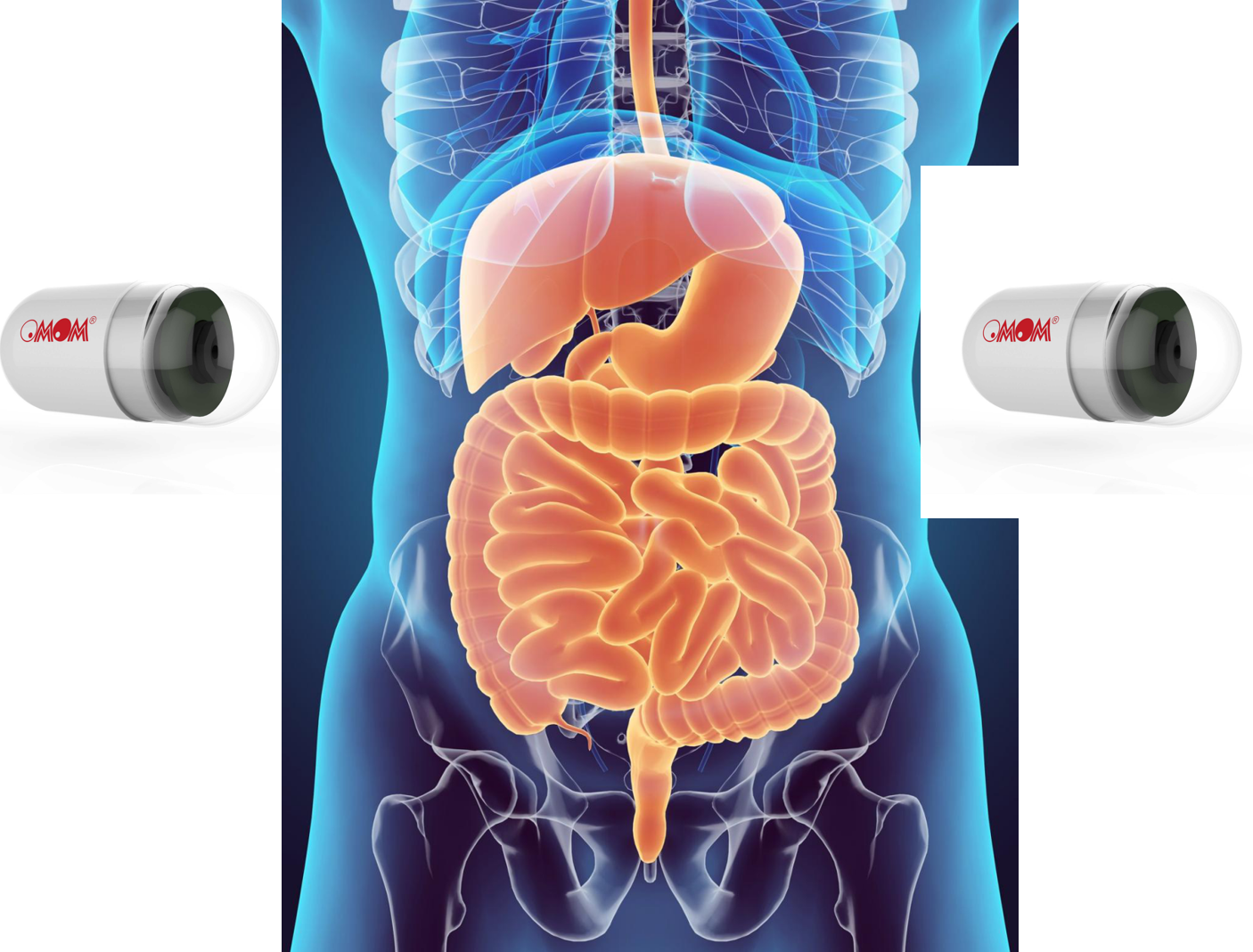 2,小肠胶囊检查者继续肠道准备,当排出5~10次清水样便,标志肠道准备
