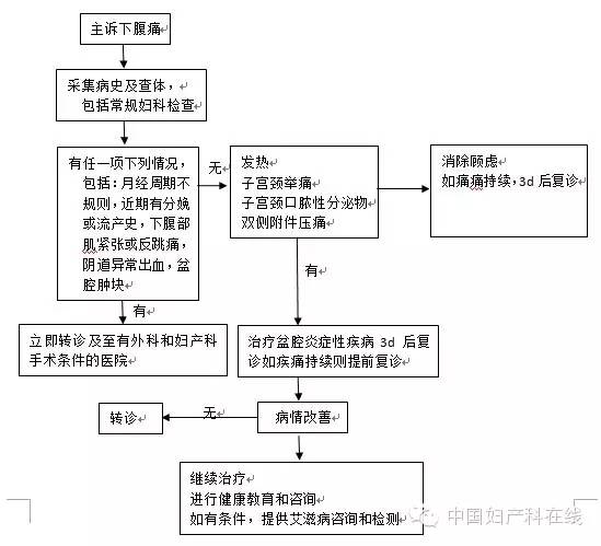 盆腔炎症性疾病诊治规范(修订版)