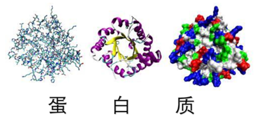 手术后可以吃 发物 吗 健康号 微医