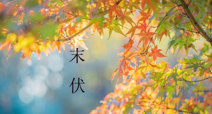 末伏凶猛!三伏最后10天,不懂规矩要吃亏!