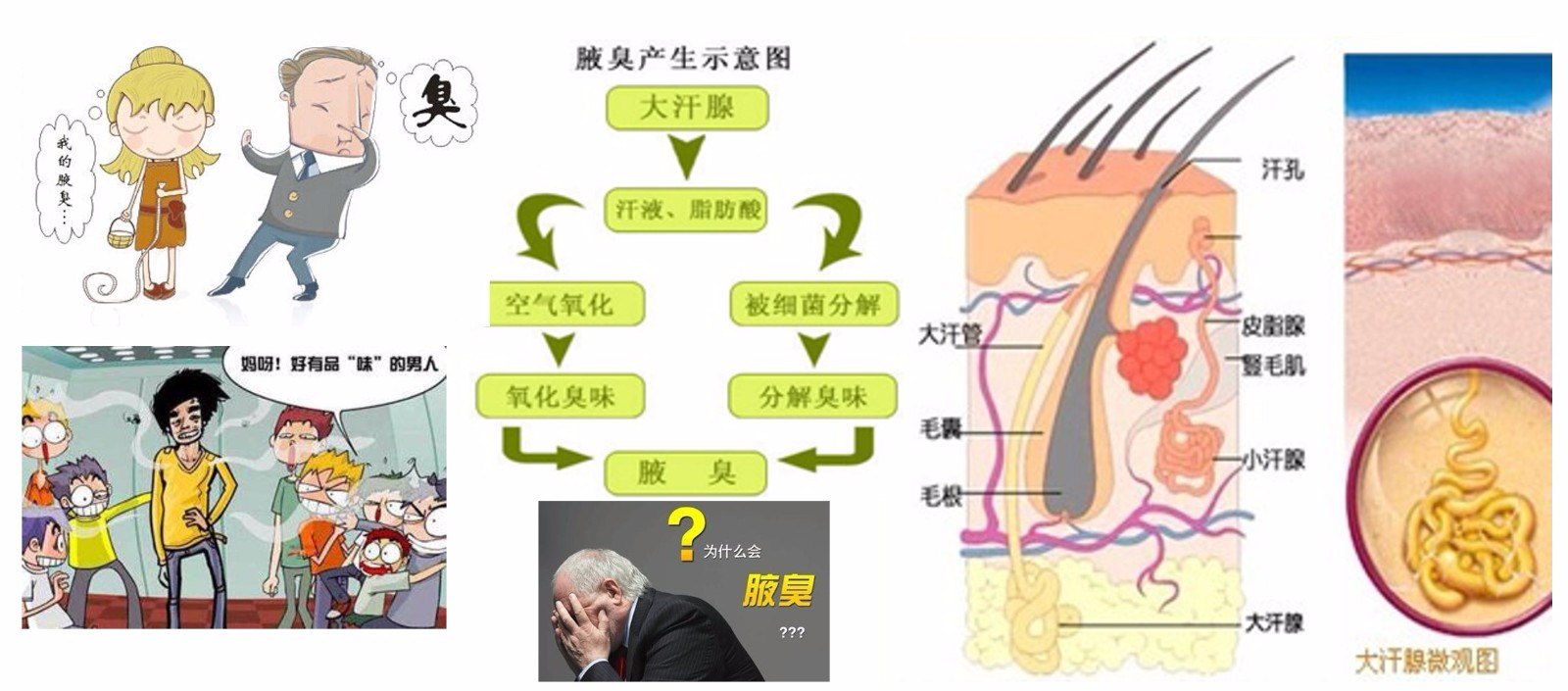 夏天到了腋臭狐臭臭汗症知多少
