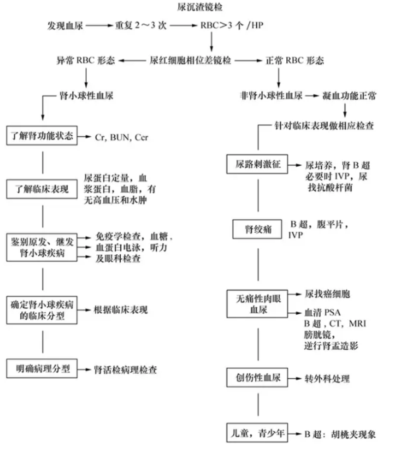 血尿诊断治疗 健康号 微医