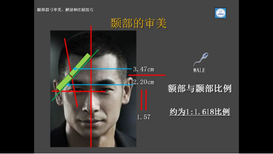 颞线处于不适当比例的位置.我们怎么形成一个美的颞部呢?
