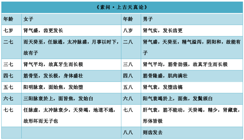 为什么女人30岁以后比男人老得快 健康号 微医
