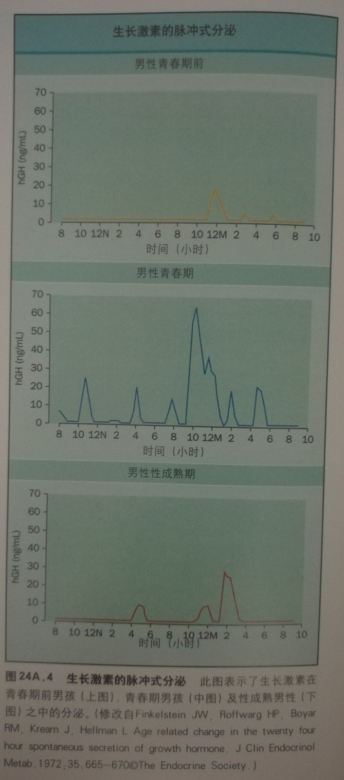 矮小儿童为什么要做生长激素激发试验?