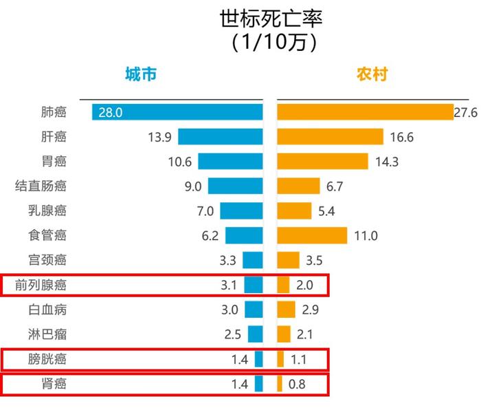 泌尿系肿瘤的发病情况和相关致病危险因素——更新2022全国癌症统计数