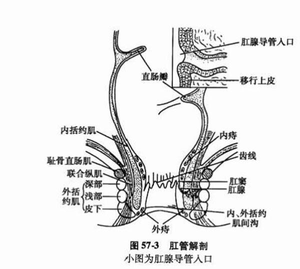 壮观的什么是痔疮微创手术的视图