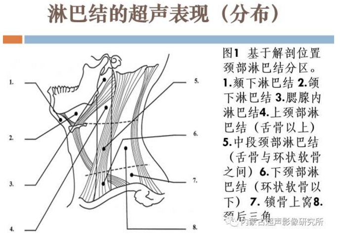 儿童颈部淋巴结超声表现