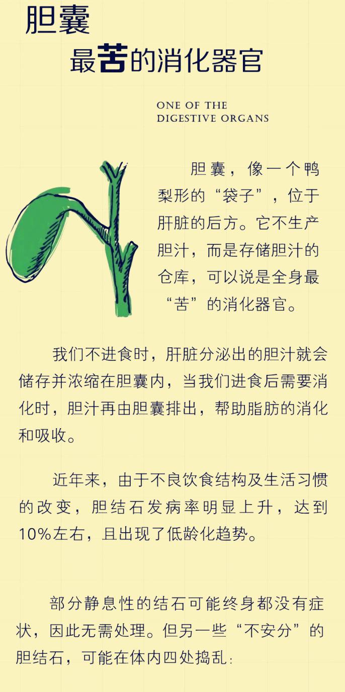 (一)首先让我们一起来了解下,胆囊在人体内是一种什么样的器官:这些