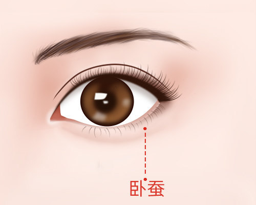 她拥有卧蚕眼究竟美在哪