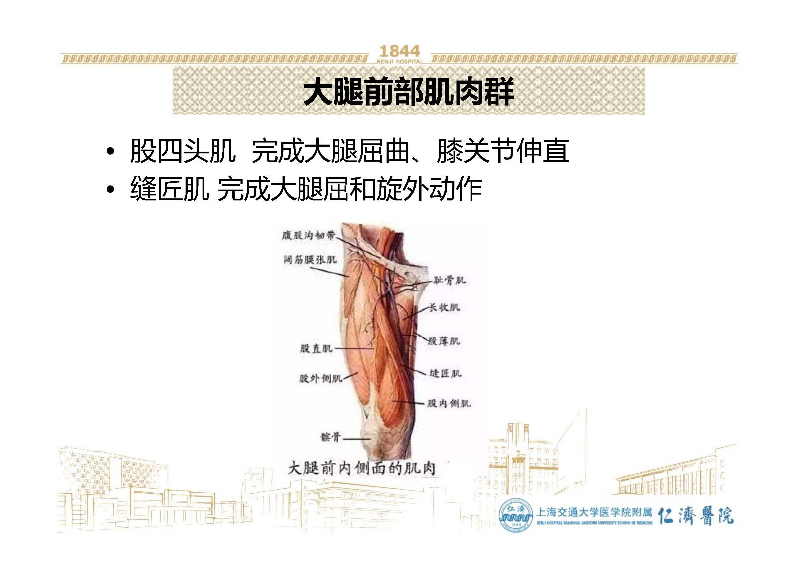 大腿前侧疼首先触摸有无腹股沟淋巴结肿大,75%的疼痛源于肌肉,体外