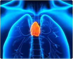 胸腺瘤位置图片图片