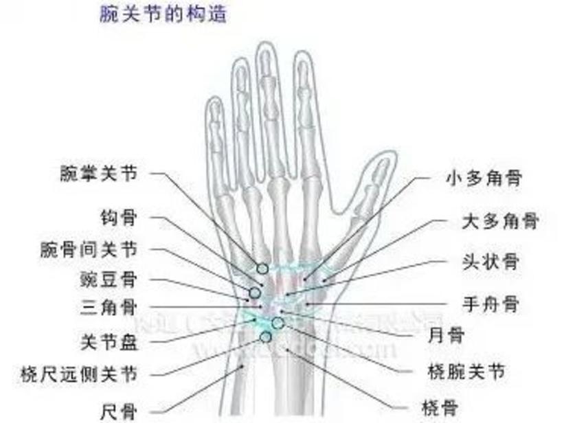 腕关节养护手册 健康号 微医