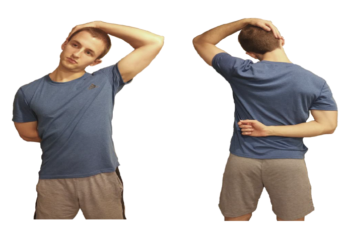 斜角肌的作用是同侧侧屈颈部,前屈颈椎,向对侧回旋,那么牵拉时我们做