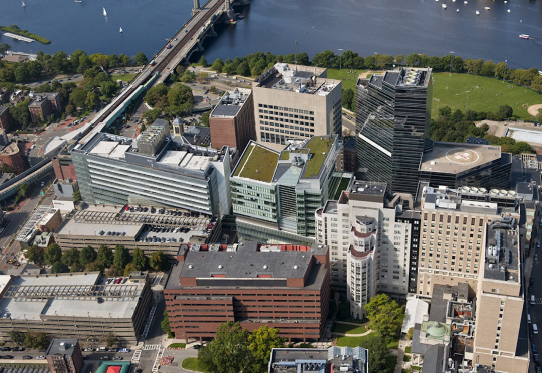 哈佛医学院麻省总医院:外周动脉疾病抗血小板治疗疗效男女有别 - 微医