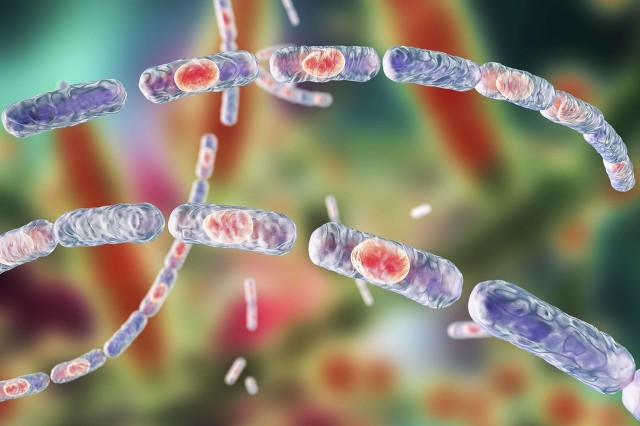 北京接收一例炭疽杆菌患者关于这种烈性传染病有些知识需了解