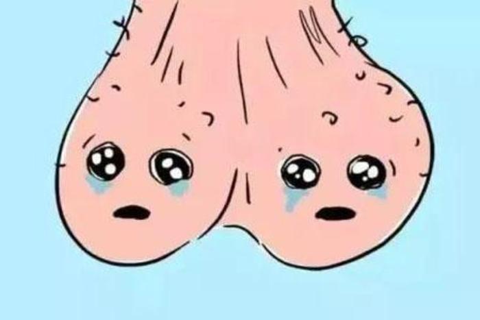 如果睾丸出现疾病或发生碰撞损伤,那一定让男人很"蛋疼",那种"蛋蛋的