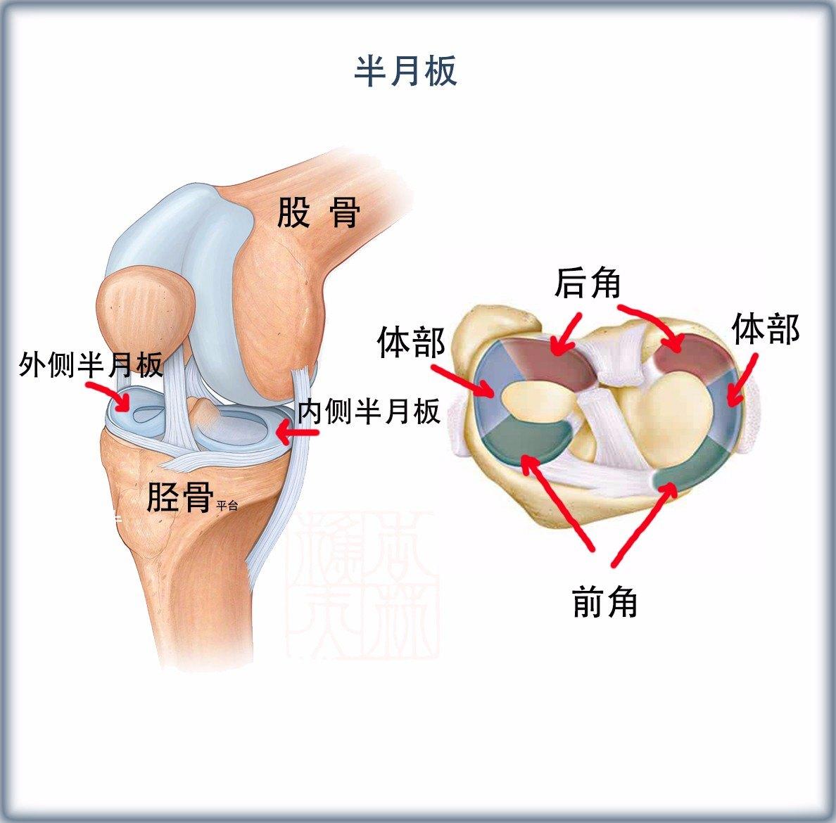 半月板损伤的最好治疗方法?哪种修复治疗方法好?效果如何.