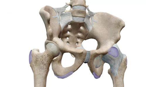 弹响髋有哪些类型?如何缓解髋关节弹响?