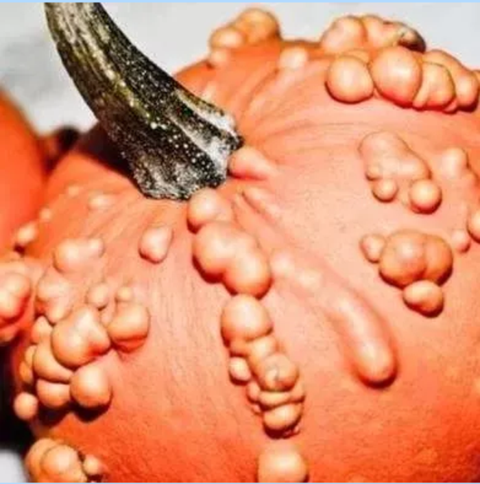 龟头边缘长了一圈小肉粒是尖锐湿疣吗 - 微医(挂号网)