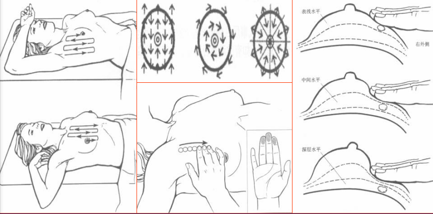 《乳腺科门诊日志(二)》—乳腺检查的bi-rads分类 - 微医(挂号网)