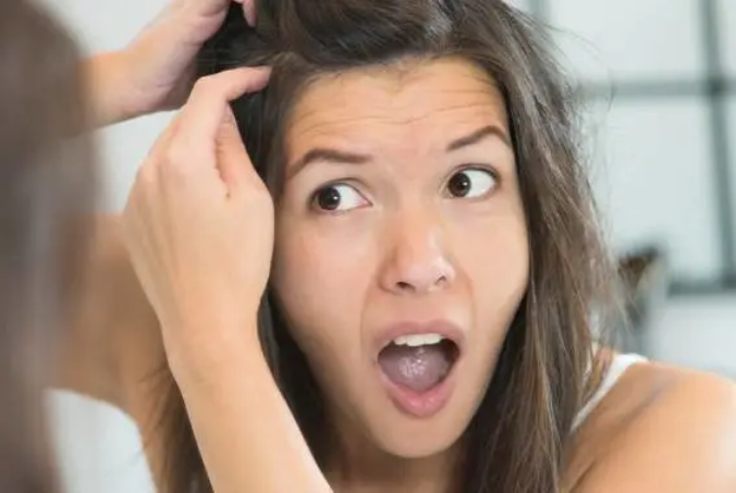 白头发真的会拔一根长十根吗