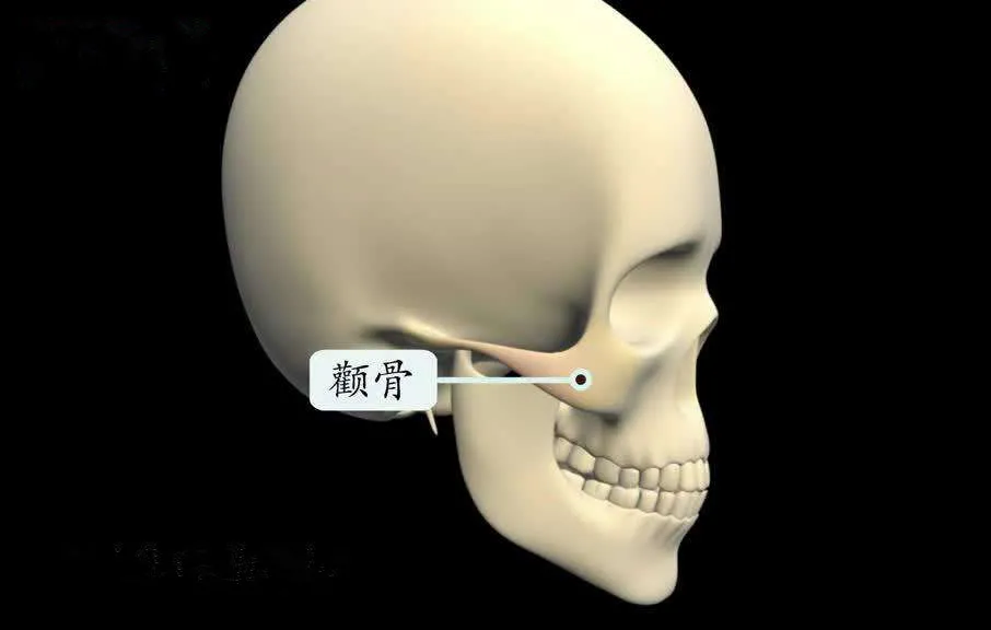 判断颧骨高低方法图图片